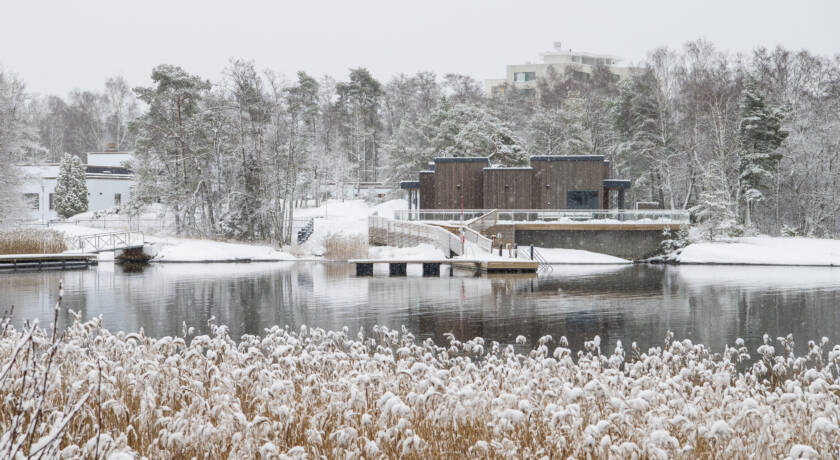 Etualalla heinää, keskellä kuvaa vettä ja taustalla puita vasten saunarakennus.