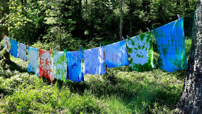 Paidat kuivumassa, taustalla metsää.