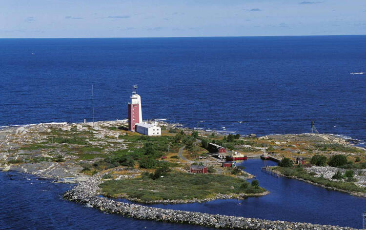 Kylmäpihlaja
