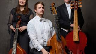 Wasa Consort