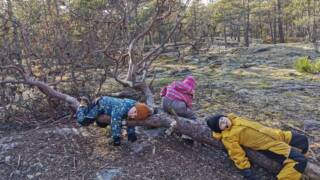 lapsia metsässä