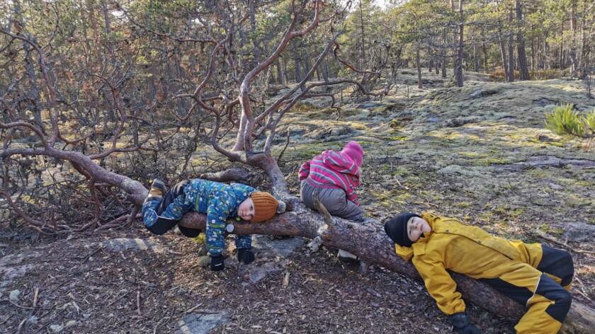 lapsia metsässä