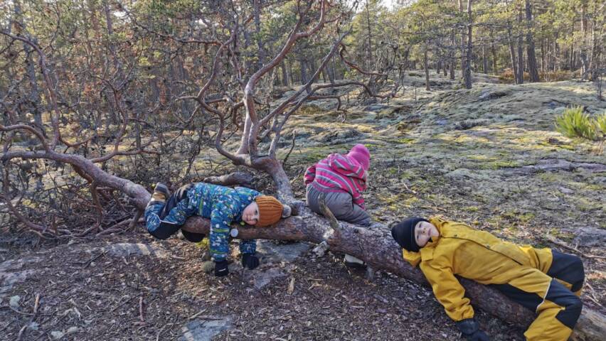 lapsia metsässä