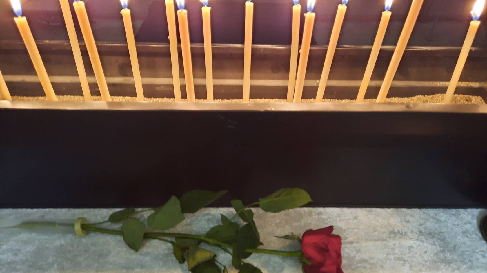 Kuvassa tuohuksia ja punainen ruusu